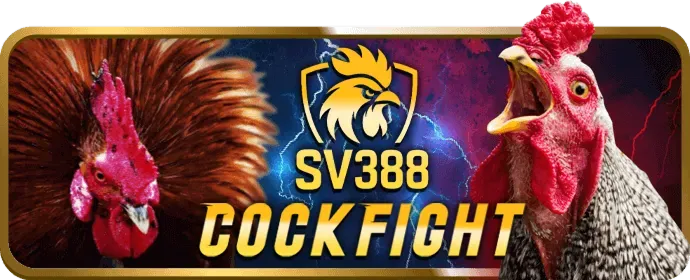 Các chương trình khuyến mãi to888